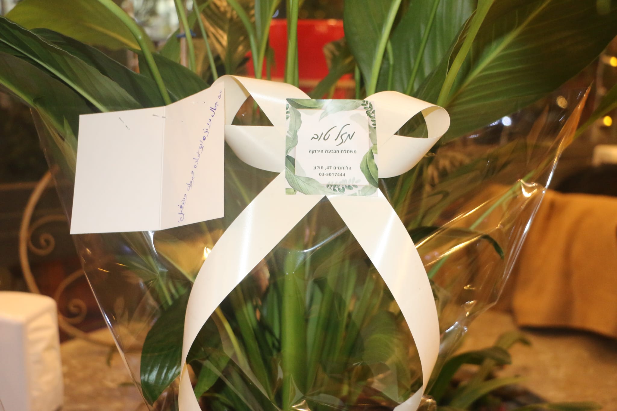 WhatsApp Image 2023-01-22 at 9.59.11 PM (2).jpeg